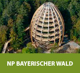 Nationalpark Bayerischer Wald